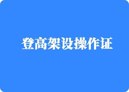 骚逼操影院登高架设操作证